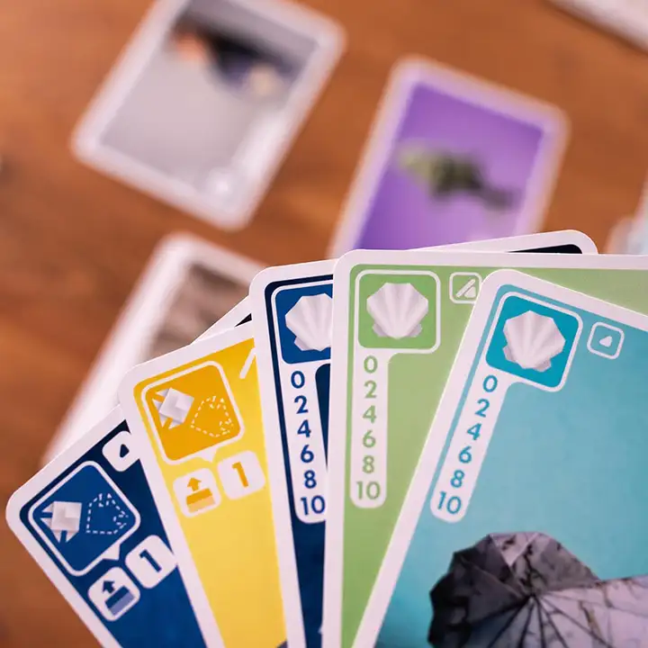 Cards with details on how to earn points with them | Source: Panda Saurus