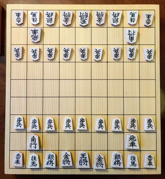 Shogi cover image | Source: drericsilverman.com