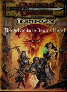 Dungeons & Dragons Adventure Game (1999)