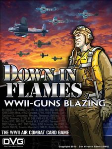 Down in Flames: WWII-Guns Blazing (2010)