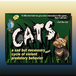 CATS: a sad but necessary cycle of violent predatory behavior