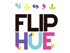 Flip Hue (2015)
