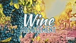 Wine Management (2022)