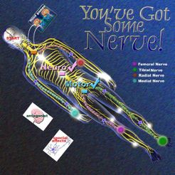 You've got Some Nerve! (2004)